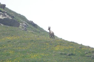 Xtrallusion photo library of independent, self-guided walking and sightseeing holidays in Italy. Pictures, images, photos and photographs taken along the way of this 1-day walking itinerary, to give you a visual impression of the day's walk.